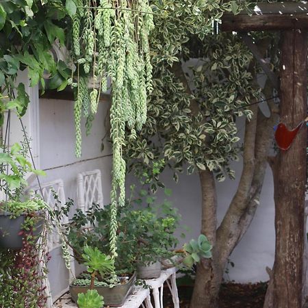 Gilcrest Place Guest House Paternoster Exterior photo